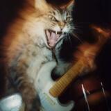 Alt rock projekt
