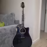 Pred&aacute;m Takamine LTD2021 blue rose