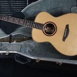 Koupím Furch/Martin/Taylor/Seagull
