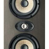 Focal Shape Twin