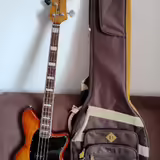 IBANEZ TMB400 TA