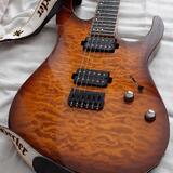 Schecter Banshee-6 Passive