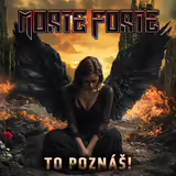 Hled&aacute;me hlavn&iacute;ho kytaristu (rock, vlastn&iacute; tvorba)