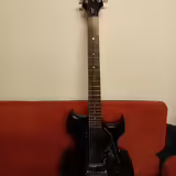 Washburn Lyon Paul Stanley