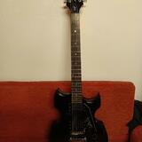 Washburn Lyon Paul Stanley