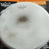 Remo 13" Emperor Coated