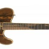 Fender Telecaster Acoustasonic Cocobolo