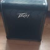 Peavey max 100