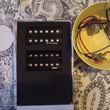 R.M. Pickups F1 + ESP + potenciometry