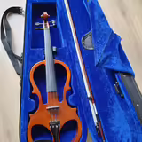 Elektrick&eacute; housle