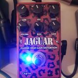 Caline CP-510 Jaguar Distortion