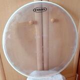 Evans EQ3 22" 