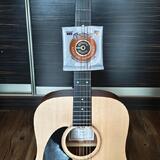 Sigma guitars dmel