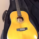Dvan&aacute;ctistrunn&aacute; elektroakustick&aacute; kytara TANGLEWOOD TW40-12 S