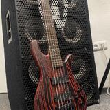 Spector NS Pulse Cinder Red + fishman fluence