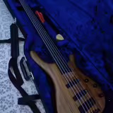 Mayones BE5 fretless