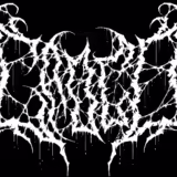 Kytara a vocals na deathcore/ death metal/ slam