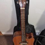 Washburn WLD10SCE Woodline - Elektroakustika (Masiv) + obal