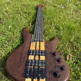 Custom bass 5 string&acute;s (Milo&scaron; Kaiser)