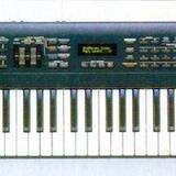 Roland JV50 + Roland VE-JV1