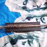 Př&iacute;čn&aacute; fl&eacute;tna 