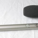 Shure SM81
