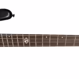 Spector NS Dimension 4 (Haunted Moss Matte)