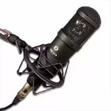 Oktava MK 319 