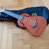 Koncertn&iacute; ukulele s obalem