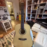 Zager Zad 50 Satin  USA