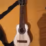 Bolivijsk&eacute; charango