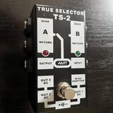 AMT TS-2