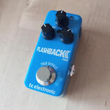 Delay TC Flashback Mini II