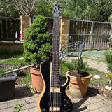 Ibanez BTB 846 SC