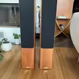 Reprobedny Tannoy