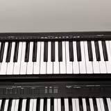 Roland A-49