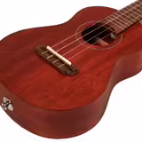 KOncertni ukulele Takamine EGU Series 1