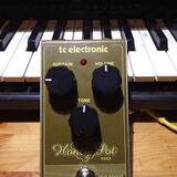 TC Electronic Honey Pot Fuzz