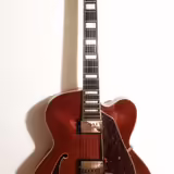 IBANEZ AF95-DA