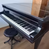 Prod&aacute;m piano / kř&iacute;dlo Rous &ndash; 10 000 Kč