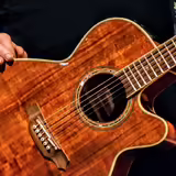 Prod&aacute;m kytaru Takamine EF508 KC