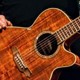Prodám kytaru Takamine EF508 KC