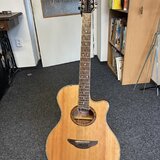 12 strunná Yamaha APX 700 II