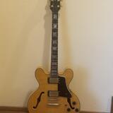 Fokus Guitar Semi-Hollow ES-335 style TOP stav, krásný javor