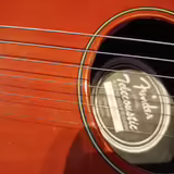 Fender Telecoustic