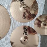Paiste pst 8