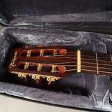 Takamine DSF 65 C Santa Fe