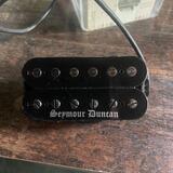 Black winter kobylka