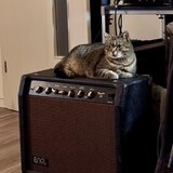 ENGL Thunder 50 RARE first edition