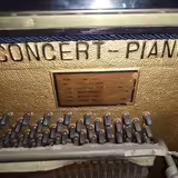 Prod&aacute;m koncertn&iacute; piano
